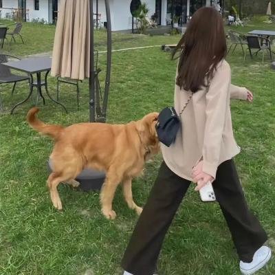 17号音乐仓库第三季